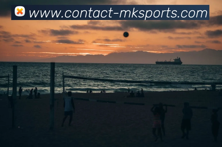 MK体育平台生态图