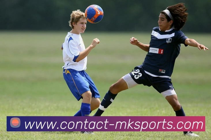 MK体育全站App MK体育全站App